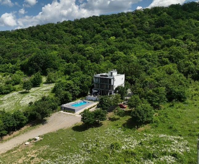 Villa Lapa Telavi Dış mekan fotoğraf